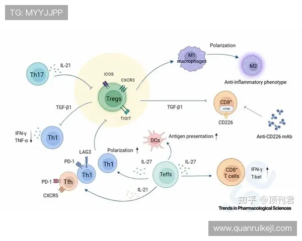 利蒙与格雷西亚的激烈对决揭示了足球战术的新趋势与未来发展方向